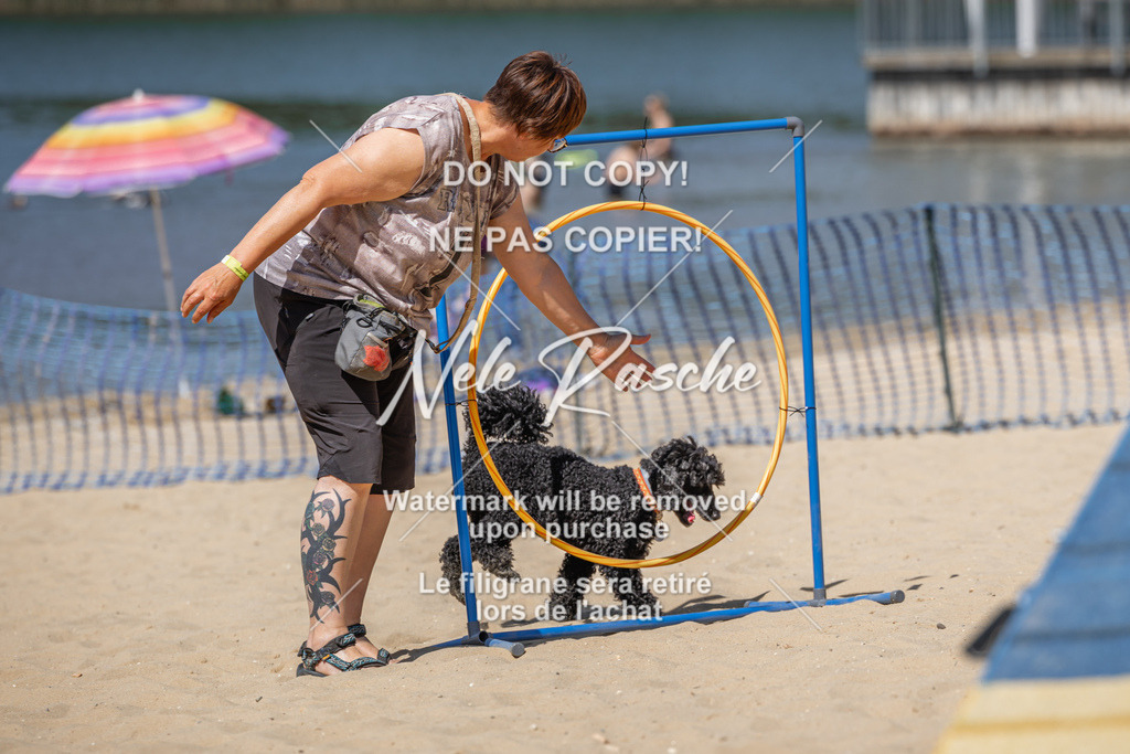 nelerasche_saBeachility_576 | nelerasche