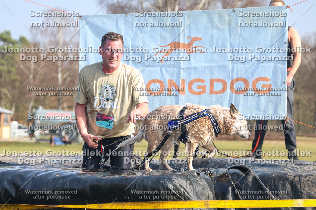 Dog Paparazzi - Strongdog North Mrz26-2345 | Dog Paparazzi Jeanette Grottendiek Fotografie & Videografie - Realisiert mit Pictrs.com