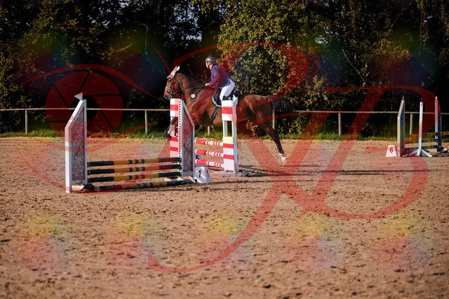 2026_10_03_Siefer-Hof_160647_Z81_88532919 | Professionelle Reitsport-, Turnier- und Eventfotografie von Robert Broda. Galerien mit ausgewählten und bearbeiteten Bildern direkt online ansehen und bestellen.
