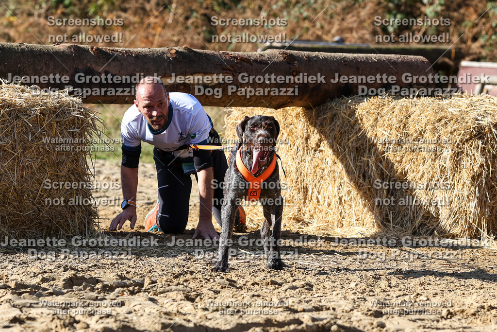 Dog Paparazzi - Strongdog 10-25-2928 | Dog Paparazzi Jeanette Grottendiek Fotografie & Videografie - Realisiert mit Pictrs.com