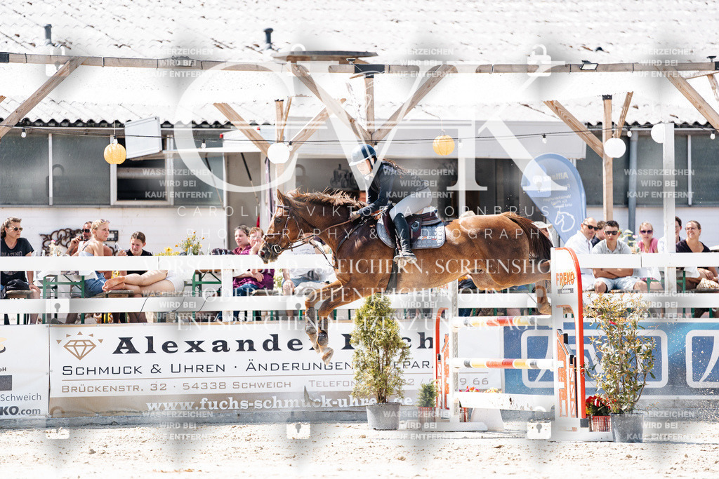 CK909888 | Turnierfotografie Pferdefotografie Trier Rheinland-Pfalz Pferdesport Reitsport Tierfotografie Sportfotografie Pferdevideo Pferdevideografie Equestrianvideography equestrianphotography  - Realisiert mit Pictrs.com