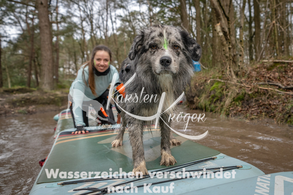 1046_ZZ94237 | kk-dogfotos