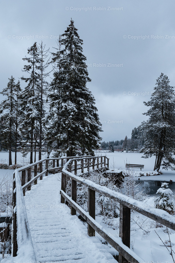 Fichtelsee_Winter00020 | Robin Zinnert - Realisiert mit Pictrs.com
