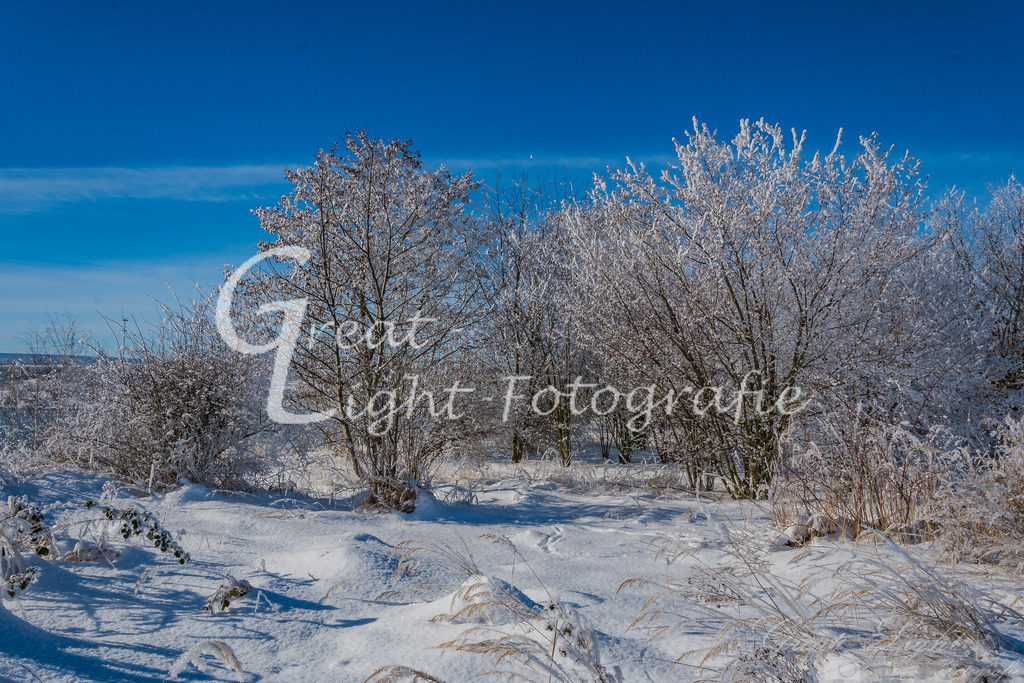 DSC_7604 | Great-Light Fotografie - Realisiert mit Pictrs.com