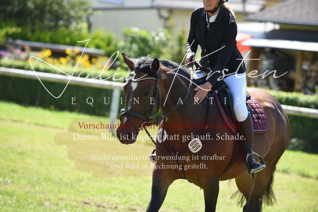 DSC_9556 | Pferde- und Turnierfotografie in Westsachsen. Pferdeportraits, Auftragszeichnungen und intuitive Kunst.