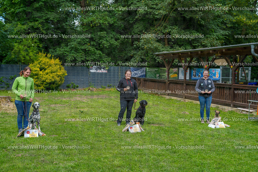 @allesWIRTHgut_Tierfotografie - www.allesWIRTHgut.de - 7R502400 | Professionelle Tierfotografie in Mönchengladbach von Daniel Wirth (allesWIRTHgut). Liebevolle & natürliche Bilder von Hunden & Katzen für unvergessliche Erinnerungen.