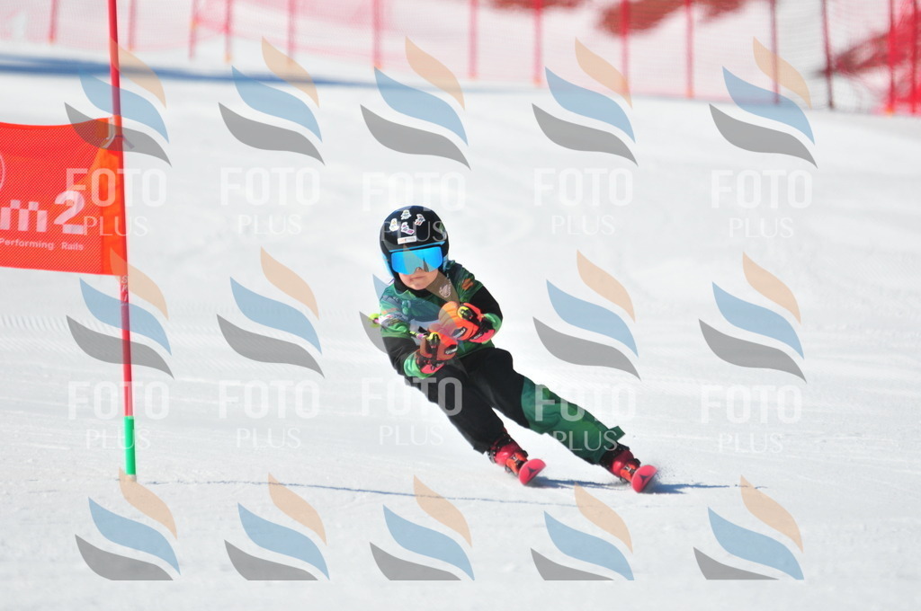 C2298 | holidayphoto