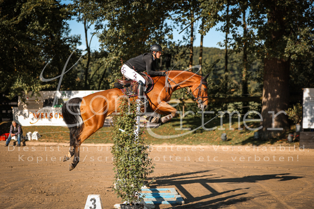 17.SoSpM200214 | Leoni Ertmer Photography - Realisiert mit Pictrs.com