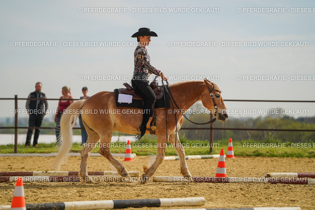 DSC01720 | Pferdegrafie