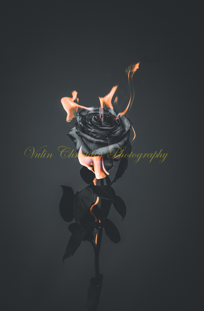 P 77 | Christian Vulin  - Realisiert mit Pictrs.com