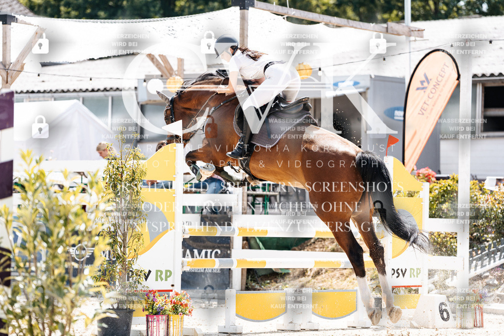 CK908079 | Turnierfotografie Pferdefotografie Trier Rheinland-Pfalz Pferdesport Reitsport Tierfotografie Sportfotografie Pferdevideo Pferdevideografie Equestrianvideography equestrianphotography  - Realisiert mit Pictrs.com