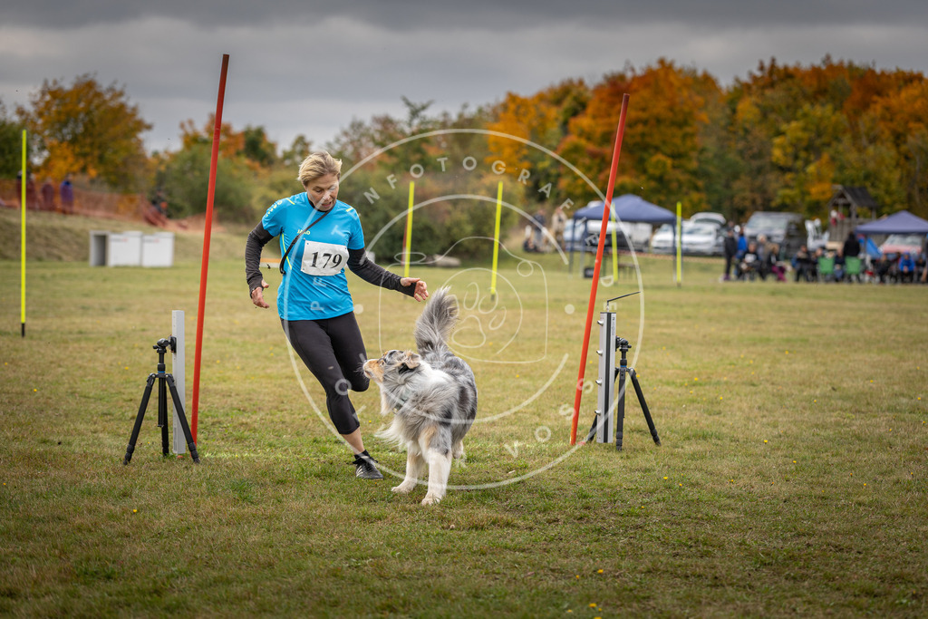 Pfotenfotografie_DV3A5785 | Hundefotografie, Tierfotograf, Pfotenfotografie, Fotoshooting Hund, Hunde Portrait, Hundesport, Hundeportraits, Heideshooting, Hunde, Sportfotograf, Hundefotograf, Turnierhundsport, THS,  - Realisiert mit Pictrs.com