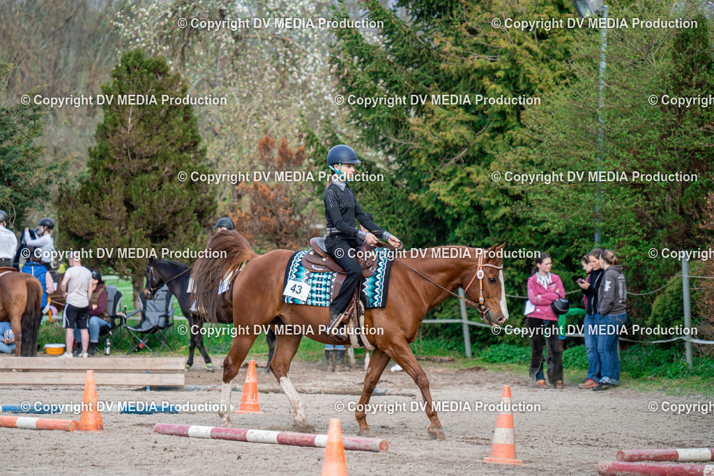 BAL02830 | dv-media-shop - Realisiert mit Pictrs.com