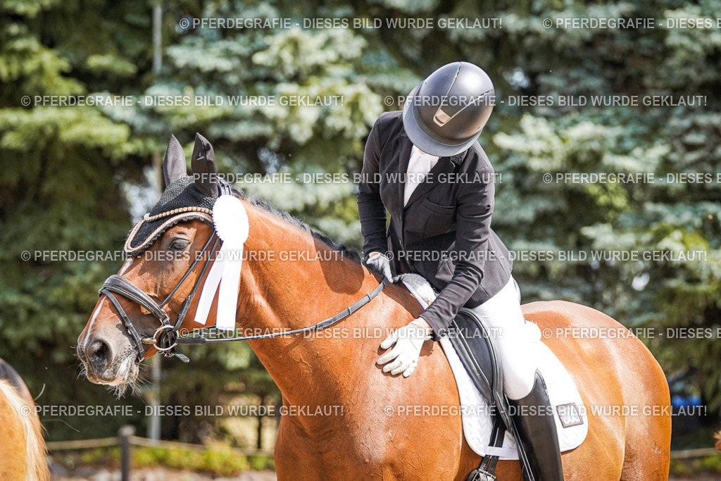 DSC02251 | Pferdegrafie