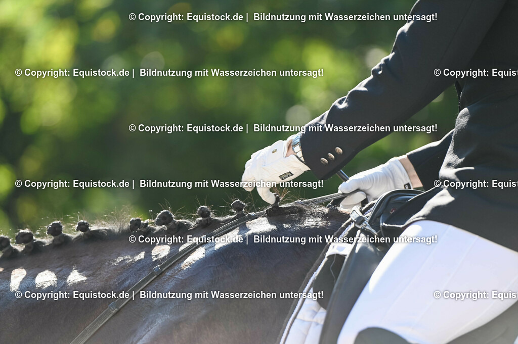 20230715_06_Dressurpferdeprfg. Kl.A_0063 | equistock
