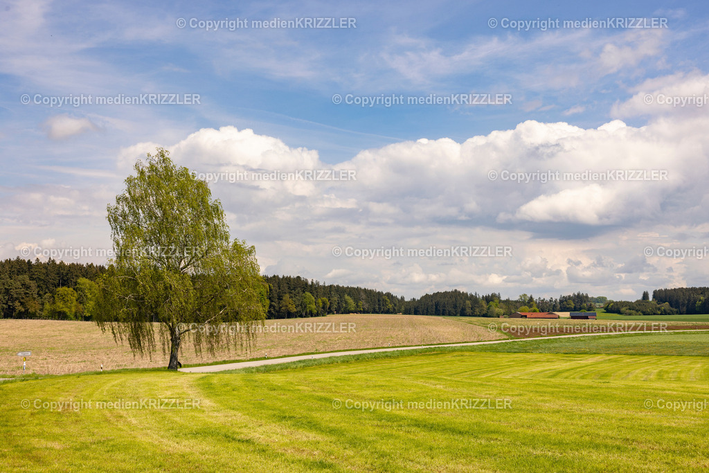 _J3A0585 | medienkrizzler - Realisiert mit Pictrs.com