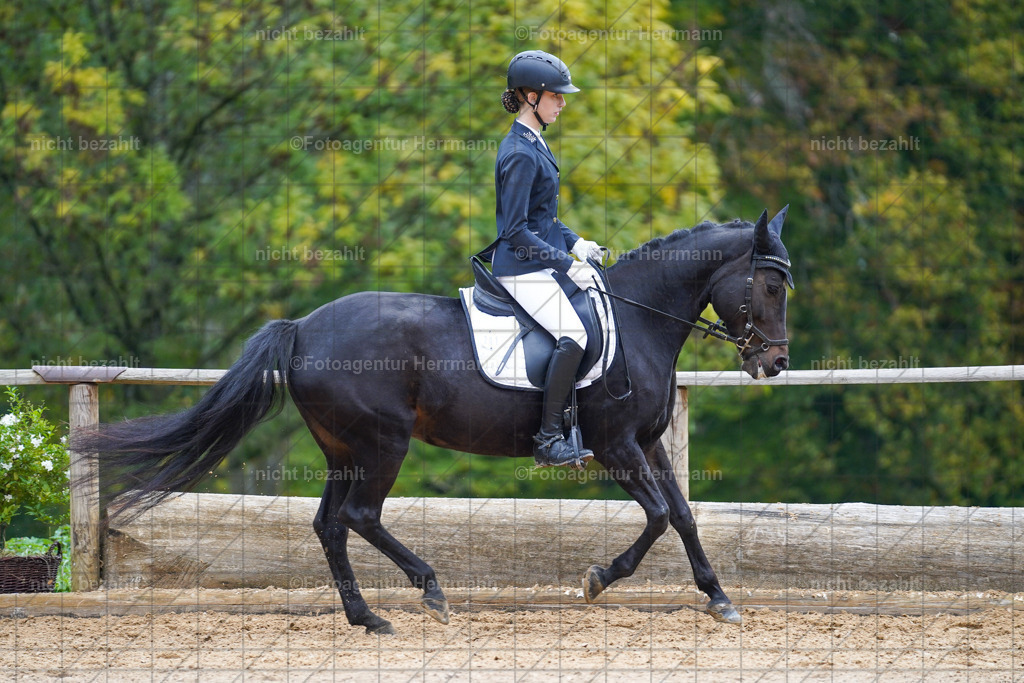 20221008-FAH00932 | Diessen am Ammersee, 2022, Dressur- und Springturnier, Reitsportbilder, Turnierfotografen Bayern, Pferdefotografen, Fotoagentur Herrmann, Turnierbilder