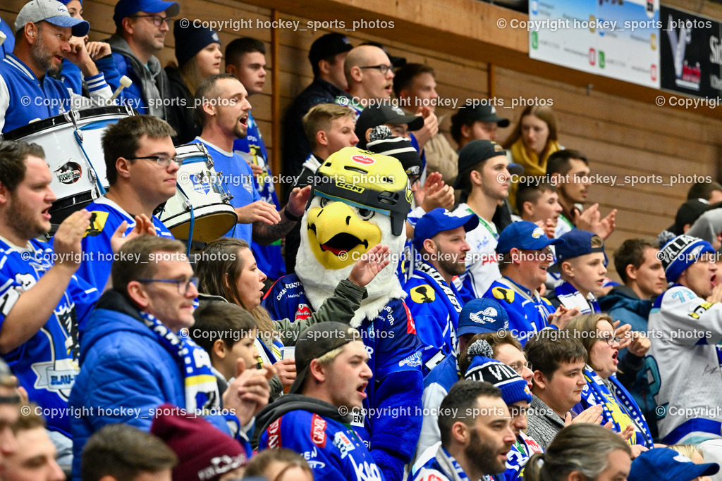 EC IDM Wärmepumpen VSV vs. HKSZ Olimpija 6.11.2022 | EC VSV Fans, Absolut Villach, Villi EC VSV Maskottchen