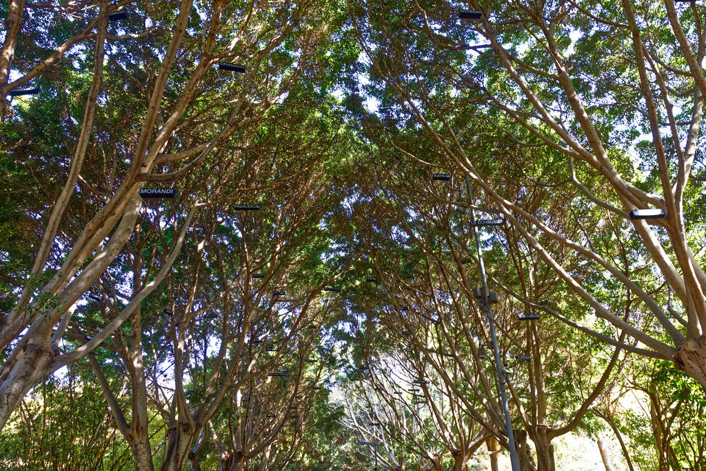 1H5A8294 | ansichtssache