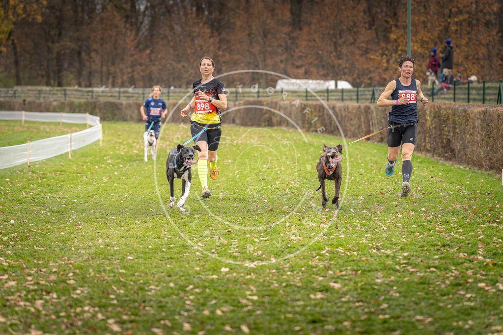 CaniXpix_DV3A6858 | Hundefotografie, Tierfotograf, Pfotenfotografie, Fotoshooting Hund, Hunde Portrait, Hundesport, Hundeportraits, Heideshooting, Hunde, Sportfotograf, Hundefotograf, Turnierhundsport, THS,  - Realisiert mit Pictrs.com
