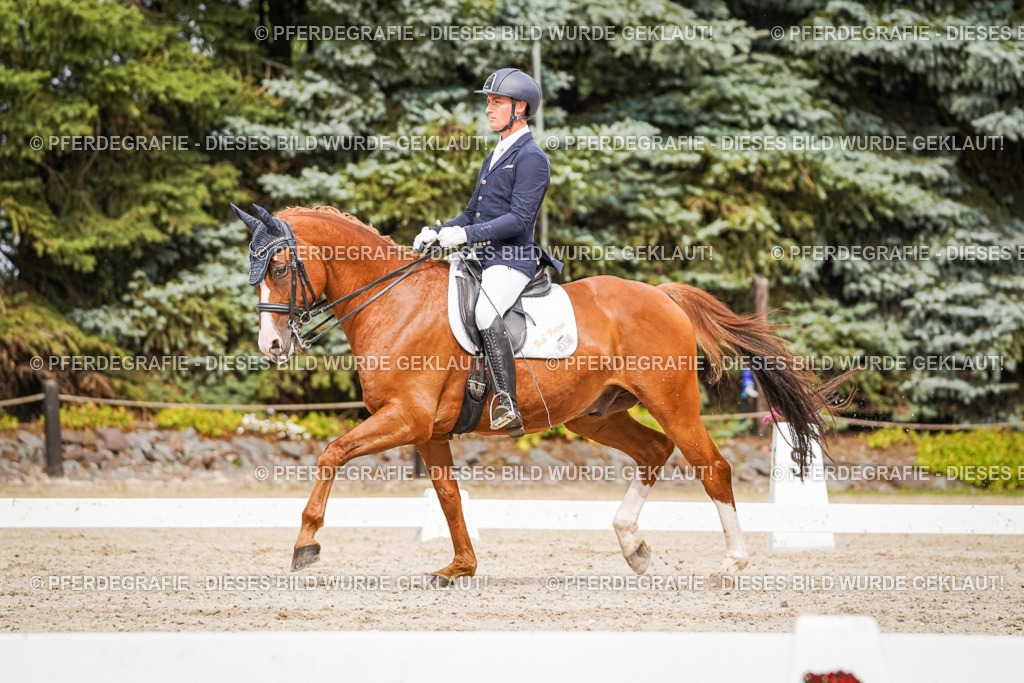 DSC06924 | Pferdegrafie