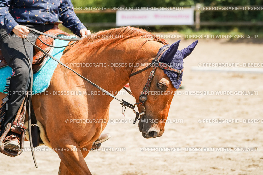 DSC06814 | Pferdegrafie