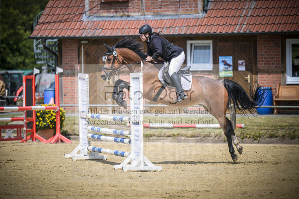 DOS_9254 | Entdecke hochwertige Reitturnierfotos von Foto Oger. Professionell, emotional und authentisch – jetzt Lieblingsmomente im Shop bestellen.Deutschlandweite Turnierfotografie. - Realisiert mit Pictrs.com