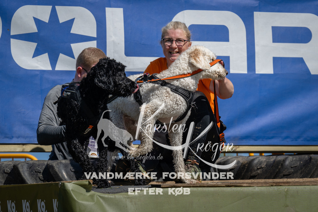 1232_ZZ95636 | kk-dogfotos