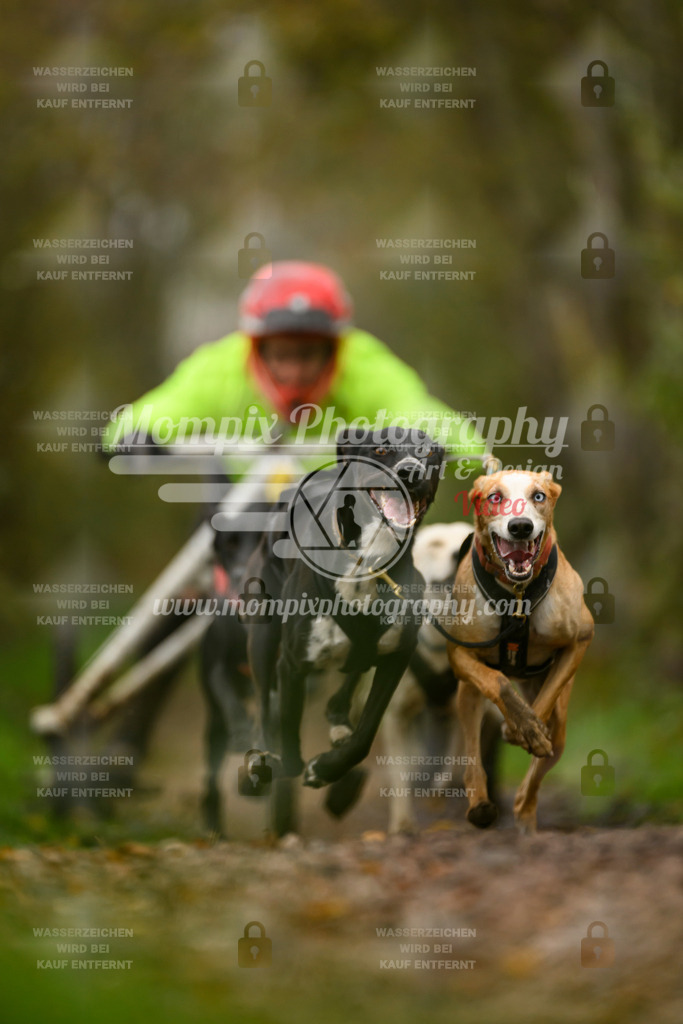 MompixPhotography_20TSB_E6_Kart-3 | PayLife
