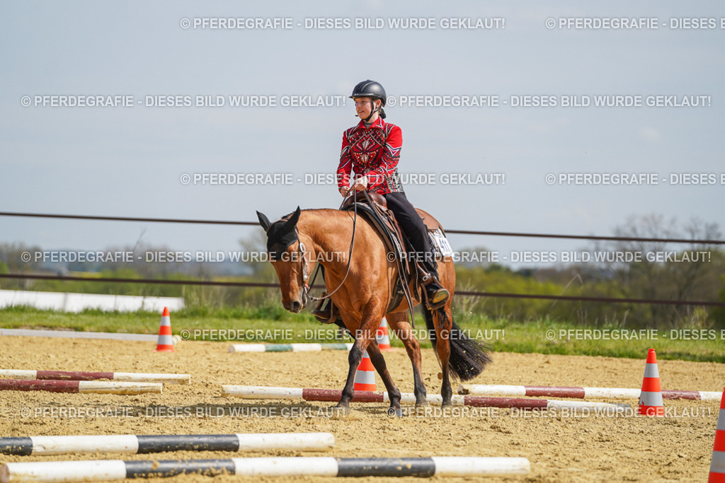 DSC04520 | Pferdegrafie