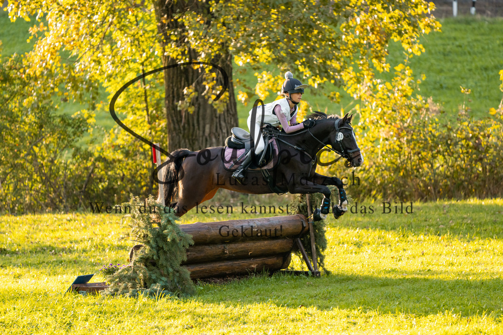 A7V02825 | Turnier/Reitfotograf