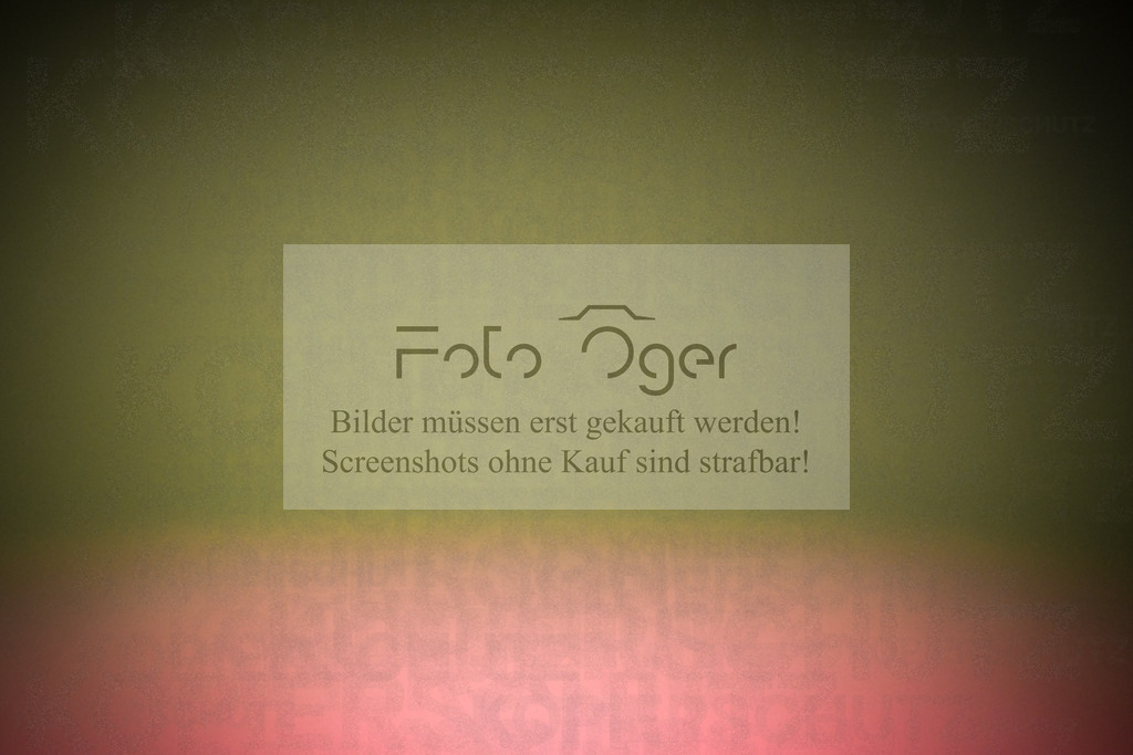 DOS_0139 | Entdecke hochwertige Reitturnierfotos von Foto Oger. Professionell, emotional und authentisch – jetzt Lieblingsmomente im Shop bestellen.Deutschlandweite Turnierfotografie. - Realisiert mit Pictrs.com