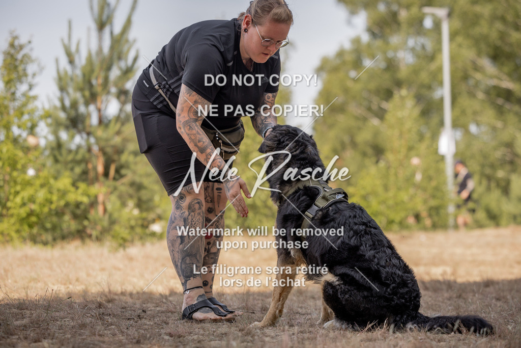 nelerasche_soDD2_251 | nelerasche
