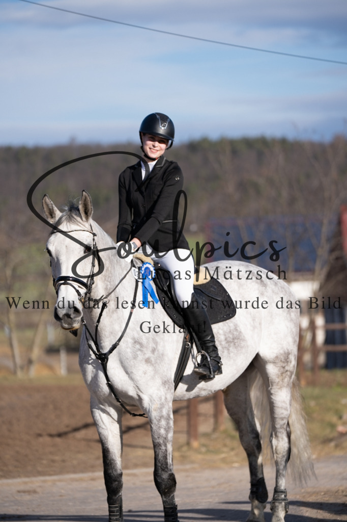 A7V02102 | Pferdefotograf