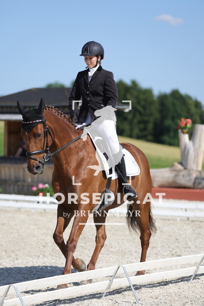 0P6A8127 | Willkommen bei Brunnmayr - Design & Fotografie – Ihrem Spezialisten für Reitturniere und Pferdeveranstaltungen in Oberösterreich, Salzburg und Bayern! Seit über 17 Jahren sind wir leidenschaftlich dabei.