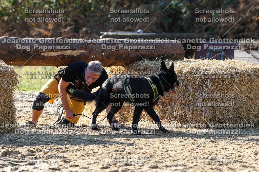 Dog Paparazzi - Strongdog 10-25-6030 | Dog Paparazzi Jeanette Grottendiek Fotografie & Videografie - Realisiert mit Pictrs.com