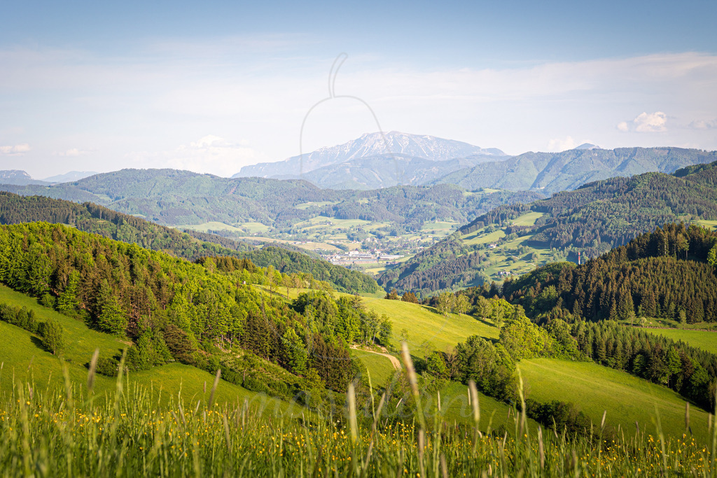 Ötscherblick am Hochkogelberg | Bei Veröffentlichung des Bildes ist eine Namensnennung wie folgt erforderlich: 
Foto: Mostdirn Irmgard Wieser
 - Realisiert mit Pictrs.com