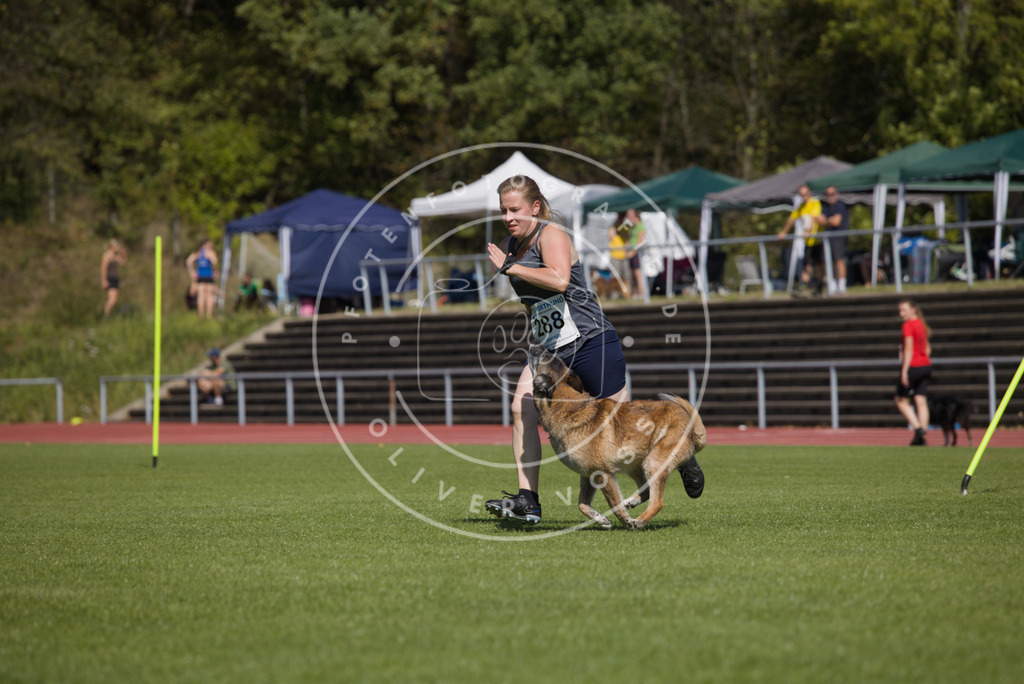 0L8A6950 | Hundefotografie, Tierfotograf, Pfotenfotografie, Fotoshooting Hund, Hunde Portrait, Hundesport, Hundeportraits, Heideshooting, Hunde, Sportfotograf, Hundefotograf, Turnierhundsport, THS,  - Realisiert mit Pictrs.com
