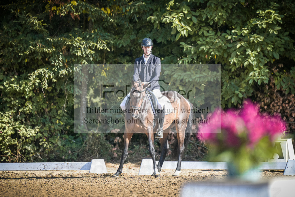 DOS_1335 | Entdecke hochwertige Reitturnierfotos von Foto Oger. Professionell, emotional und authentisch – jetzt Lieblingsmomente im Shop bestellen.Deutschlandweite Turnierfotografie. - Realisiert mit Pictrs.com