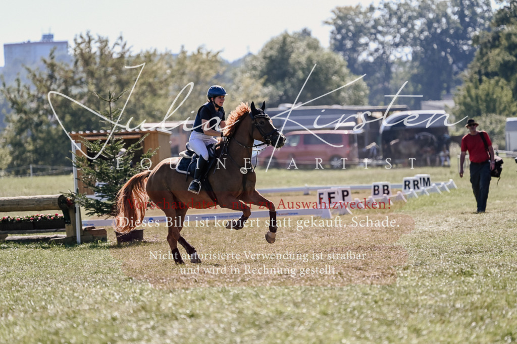 DSC_3049 | Pferde- und Turnierfotografie in Westsachsen. Pferdeportraits, Auftragszeichnungen und intuitive Kunst.