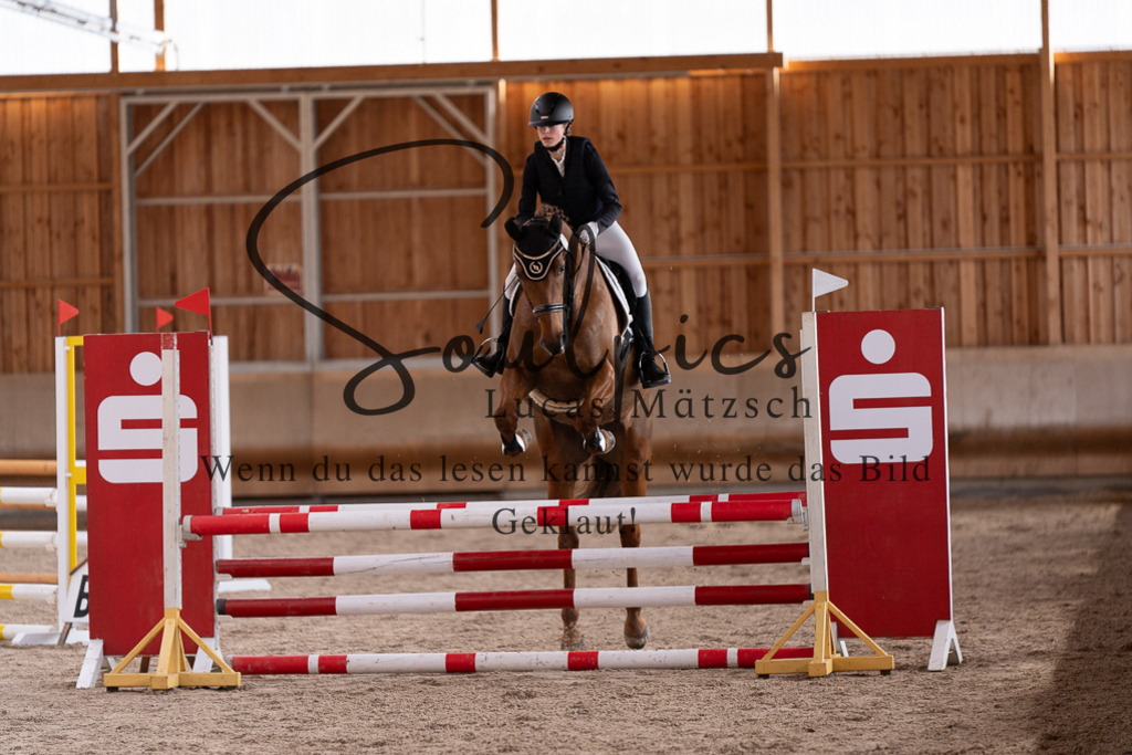 A7507724 | Pferdefotograf