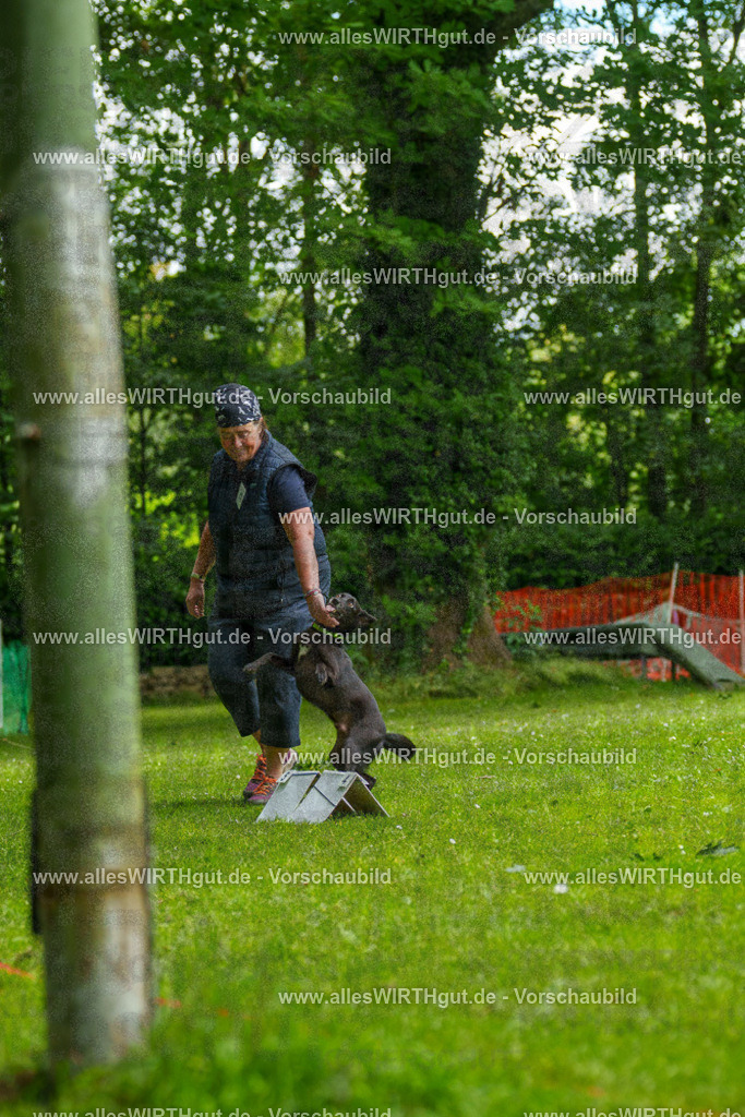@allesWIRTHgut_Tierfotografie - www.allesWIRTHgut.de - 124335-7R509367 | Professionelle Tierfotografie in Mönchengladbach von Daniel Wirth (allesWIRTHgut). Liebevolle & natürliche Bilder von Hunden & Katzen für unvergessliche Erinnerungen.