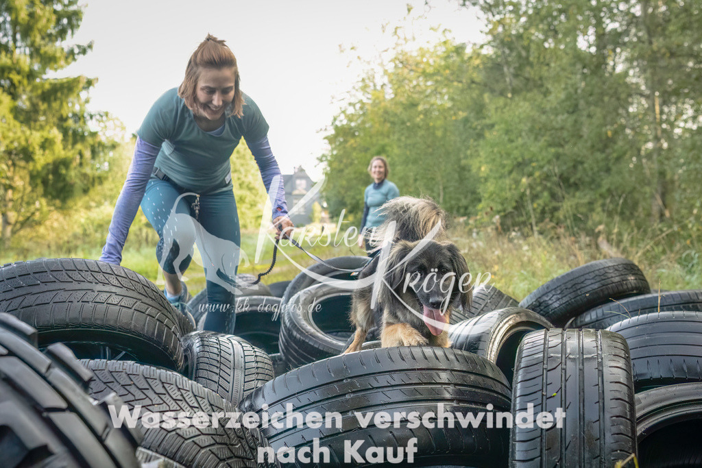 1054_ZZ90686-Bearbeitet | kk-dogfotos