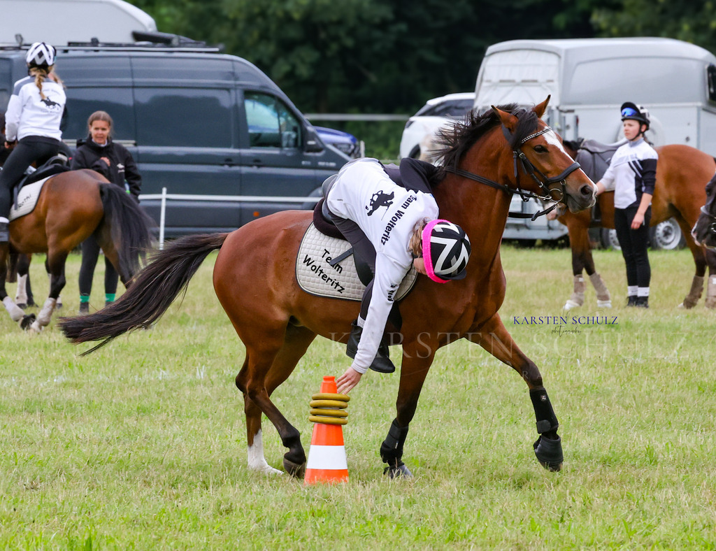 1B3A1551 | Reitsport Reiten