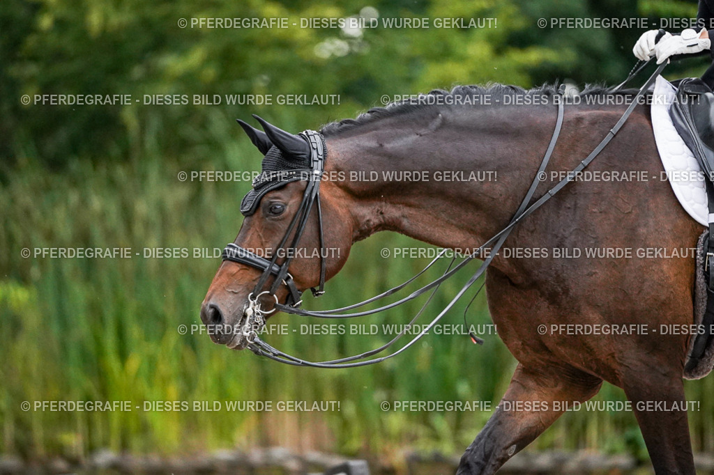 DSC09769 | Pferdegrafie