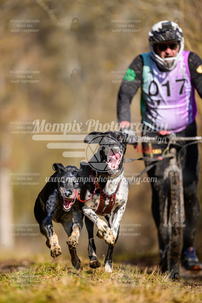 MompixPhotography_Schwabentrail2025_SO_DS2-15 | mompixphotography