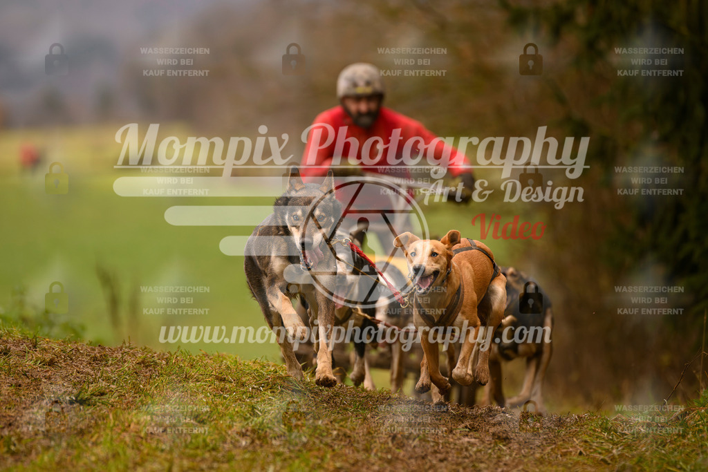 MompixPhotography_2SSTSSBW_2025_SO_Kart-53 | PayLife