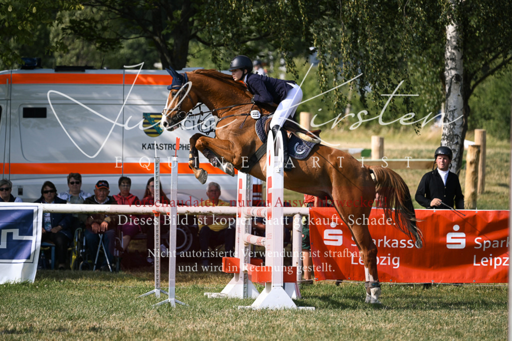 DSC_1198 | Pferde- und Turnierfotografie in Westsachsen. Pferdeportraits, Auftragszeichnungen und intuitive Kunst.