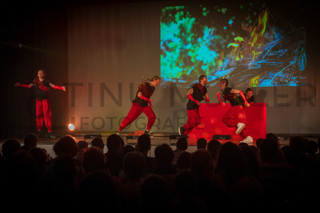 _DSC2561 | Tinu Müller Fotografie- Bildershop - Realisiert mit Pictrs.com