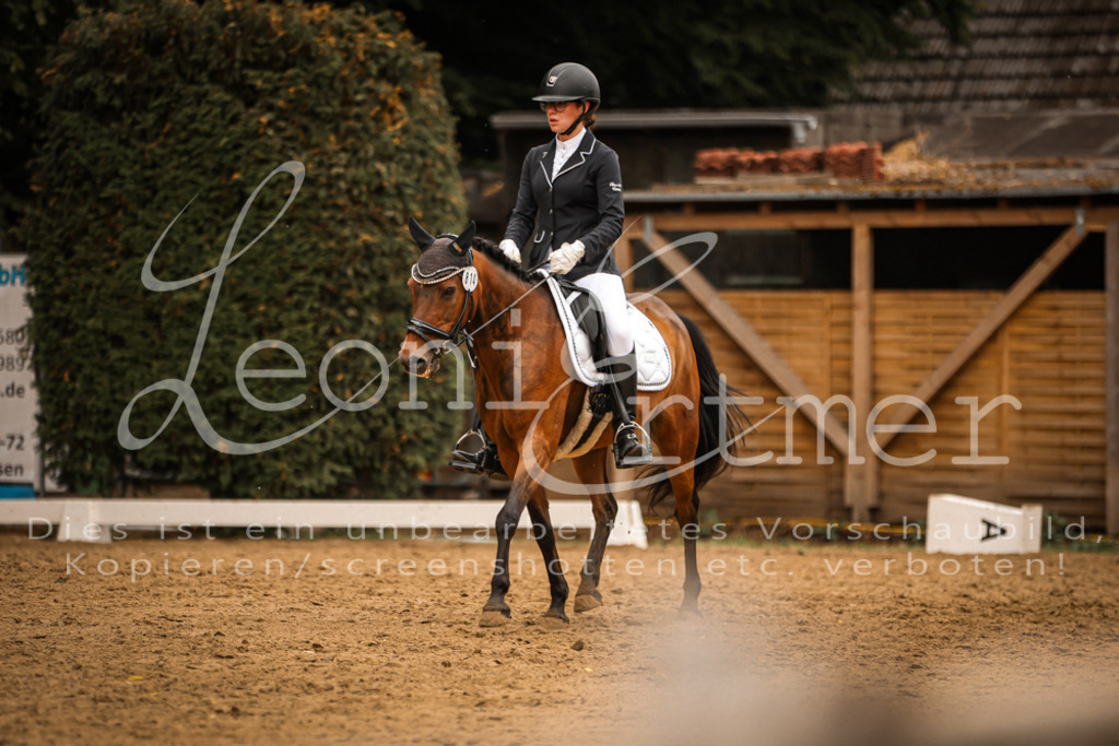 DoDrE00517 | Leoni Ertmer Photography - Realisiert mit Pictrs.com